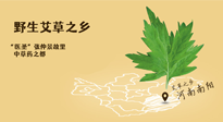 艾草越嫩越好，還是越久越好？悄悄告訴你：艾草這樣用，效果最好！
