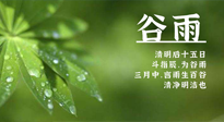 【二十四節(jié)氣灸】谷雨時節(jié)，用艾為您的健康加上一道保險！