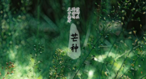 【二十四節(jié)氣灸】芒種節(jié)氣，培土補脾、養(yǎng)陰生津！艾灸這些穴位事半功倍！