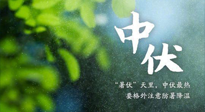 【三伏養(yǎng)生】至熱中伏，吃三樣，喝三樣，三大禁忌千萬別犯，小心落下病根！
