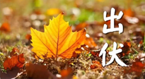 【三伏養(yǎng)生】出伏后做好養(yǎng)生很關(guān)鍵！一行要注意！