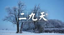 【三九養(yǎng)生】冬二九，扶陽補(bǔ)腎氣，讓你陽氣充足一整年！