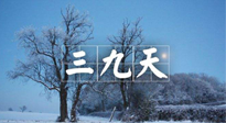 【三九養(yǎng)生】冬三九，三九第三灸，一年中最后艾灸黃金9天！
