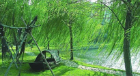 【養(yǎng)生知識】元宵入六九，春季已至，六九天的養(yǎng)生知識你知道多少？