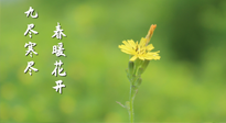 【九九養(yǎng)生】三月四日“九九日”，寒冬已過。春天養(yǎng)好身，全年不怕?。? />
                    </a>
                </div>
            </li>
            
        </ul>

        <nav class=