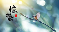【二十四節(jié)氣灸】驚蟄節(jié)氣，艾灸喚醒抵抗力、補(bǔ)充陽氣的最好時機(jī)！