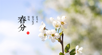 【二十四節(jié)氣灸】春分，平分了大地晝夜；艾灸，平衡了身體陰陽！