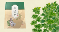 【行業(yè)資訊】國內(nèi)首部艾草專著《南陽艾》，在南陽新書首發(fā)！