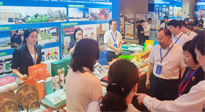 【行業(yè)資訊】南陽攜超千款名優(yōu)產(chǎn)品在廣州開展產(chǎn)銷對(duì)接，仙草艾首次亮相大灣區(qū)！