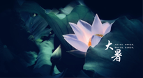 【二十四節(jié)氣灸】趁大暑好好艾灸，才不辜負(fù)三伏天的驕陽(yáng)！