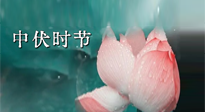 【艾灸三伏天】中伏：三伏灸的關(guān)鍵轉(zhuǎn)折點(diǎn)！“灸”除病根的大好時(shí)機(jī)！