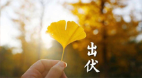 【艾灸三伏天】出伏啦！三防三宜兩穴位，防止身體“秋后算賬”！
