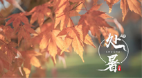 【二十四節(jié)氣灸】處暑，冬病夏治倒計(jì)時(shí)！秋涼真的要來(lái)了！