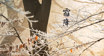 【二十四節(jié)氣灸】霜降節(jié)氣：艾灸四穴，護(hù)您冬天安然無恙！
