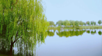【艾灸知識(shí)】春三月，必艾灸穴位：疏肝理氣，養(yǎng)血調(diào)神！