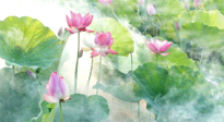 【養(yǎng)生知識】花開半夏，夏至養(yǎng)生，這些知識一定要牢記！