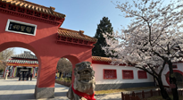 【行業(yè)資訊】新華財(cái)經(jīng)：守正創(chuàng)新，中醫(yī)藥品牌化發(fā)展“更上一層樓”！