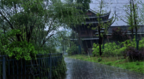 【艾灸知識】多雨的日子里，艾灸會不會加重濕氣呢？
