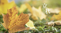 【節(jié)氣養(yǎng)生】甲辰立秋，“2做”、“2不做”，護好我們身體的正氣，預(yù)防外邪的侵襲！