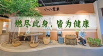 【艾草知識(shí)】小小艾草，渾身是寶，一生燃盡此身，皆為健康！